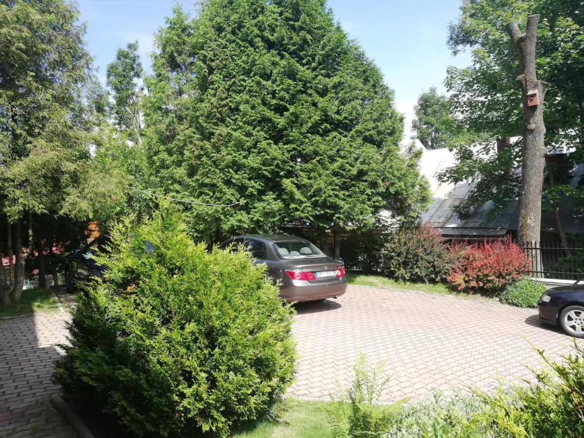 Willa Marianna Zakopane Exterior foto